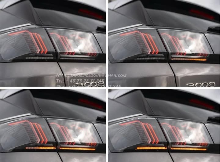 FB_IMG_1769219157955