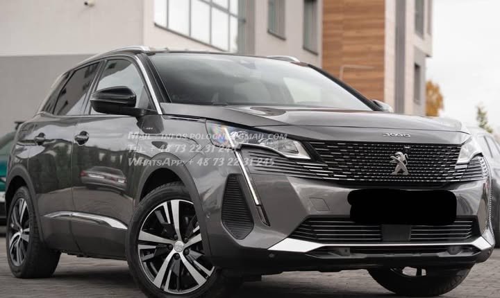 FB_IMG_1769219168605