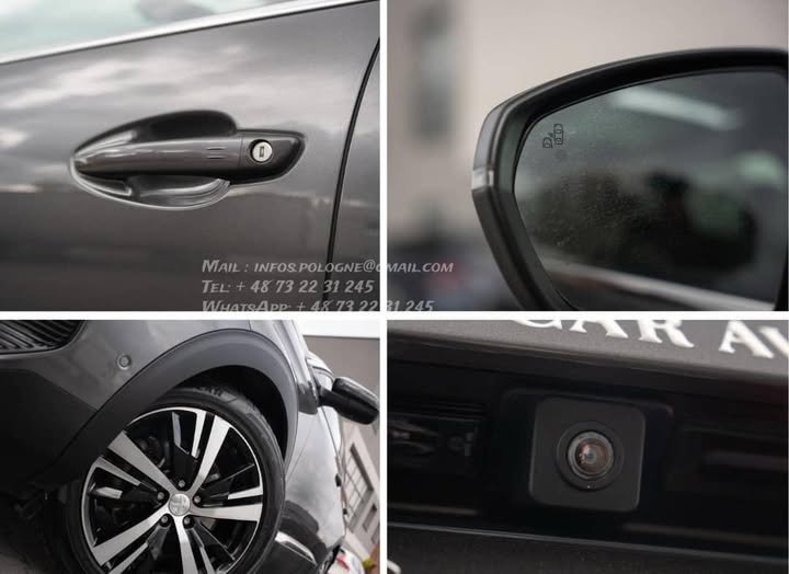 FB_IMG_1769219181545