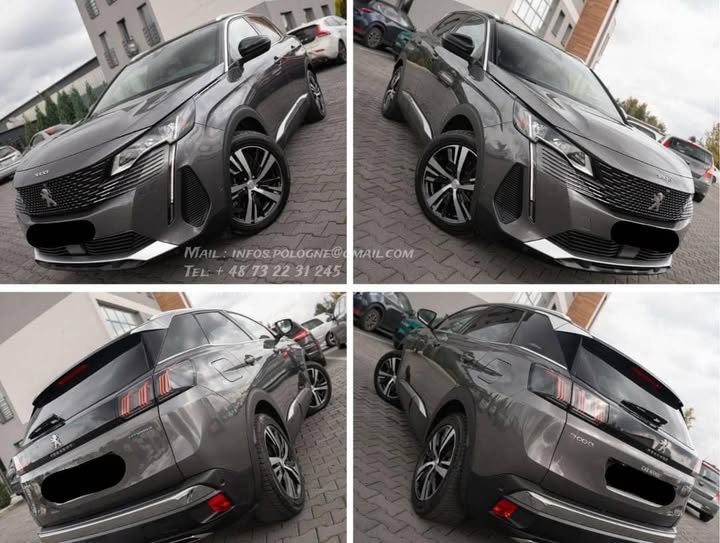 FB_IMG_1769219186128