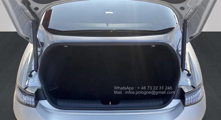 FB_IMG_1769304159673