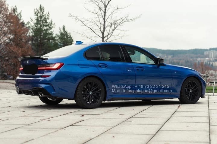 FB_IMG_1769304992301