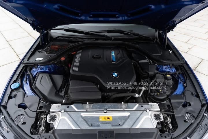 FB_IMG_1769305184341