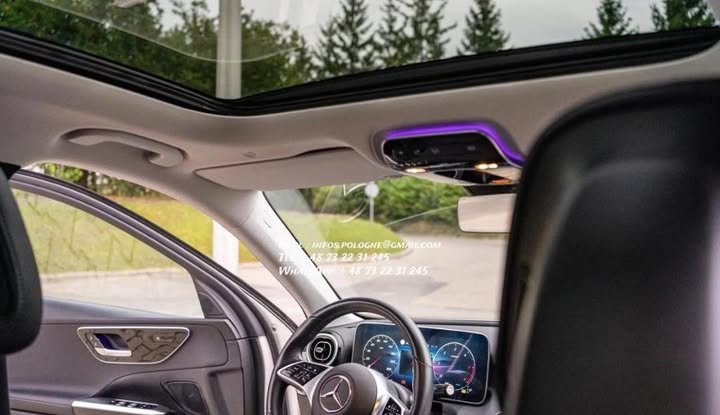 FB_IMG_1769471560413