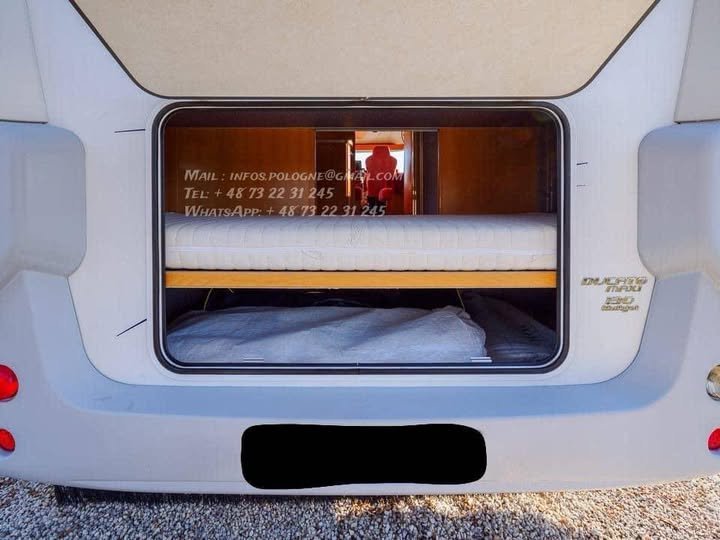 FB_IMG_1769491988256