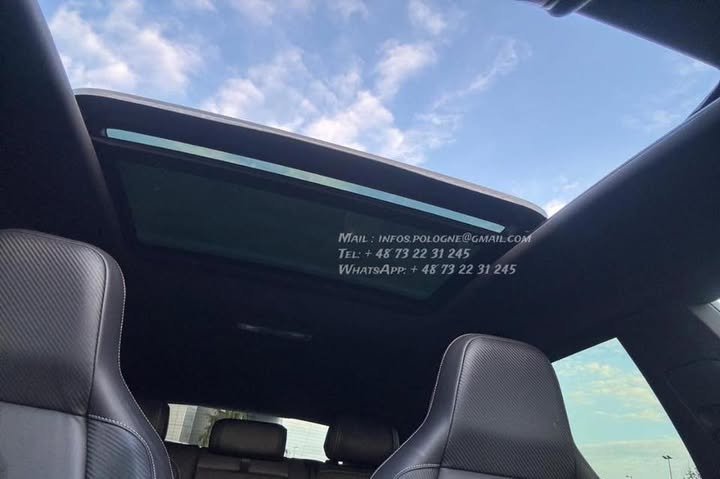 FB_IMG_1769729696341