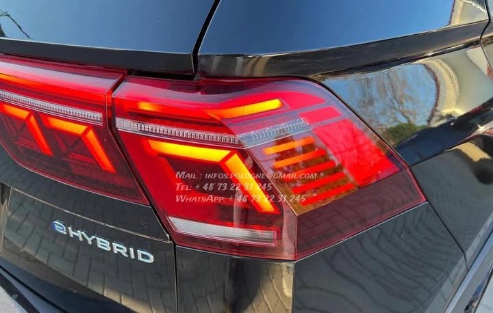 FB_IMG_1769731897176