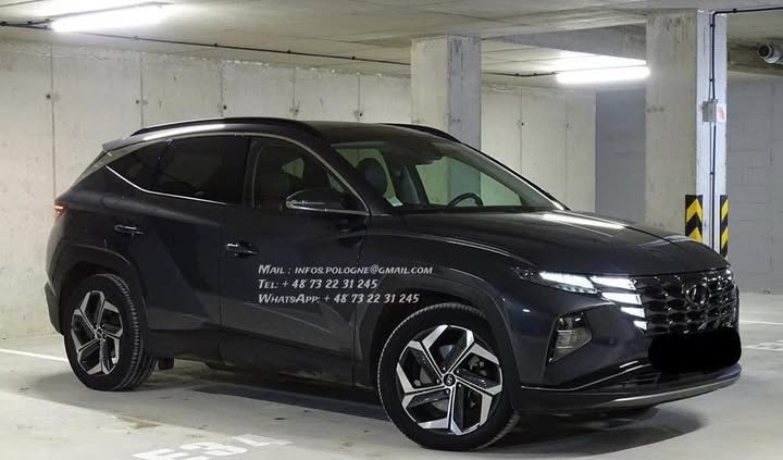 FB_IMG_1769819100331