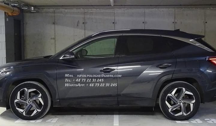 FB_IMG_1769819103383