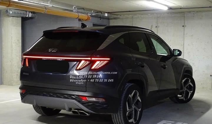 FB_IMG_1769819129417