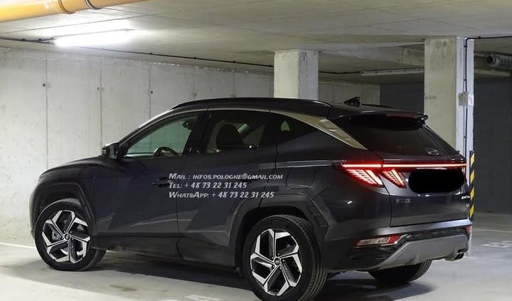 FB_IMG_1769819140436