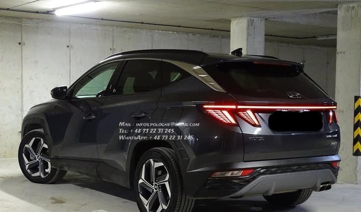 FB_IMG_1769819144365