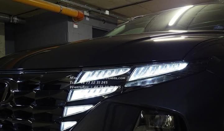 FB_IMG_1769819146556