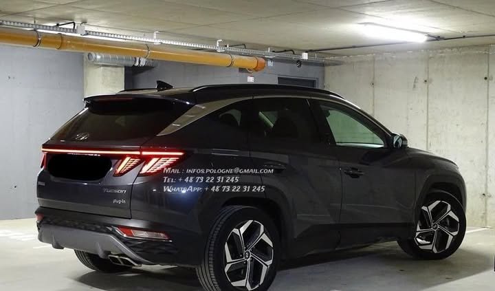 FB_IMG_1769819149599