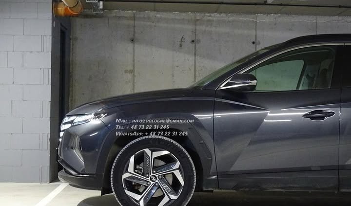 FB_IMG_1769819151558