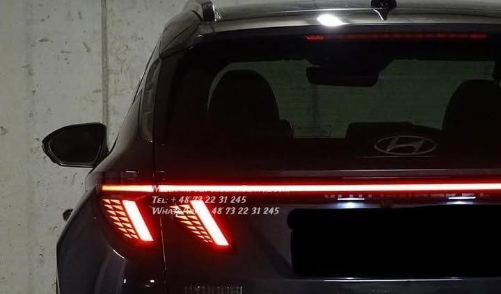 FB_IMG_1769819155653