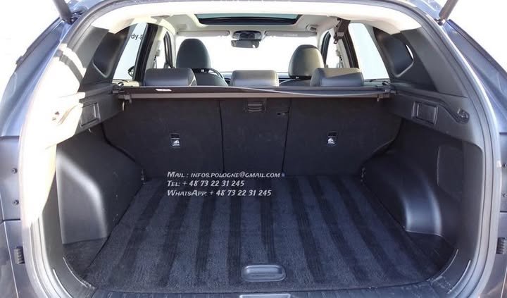 FB_IMG_1769819240533