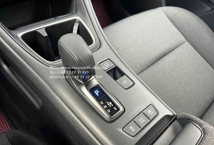 FB_IMG_1769822514935