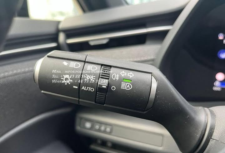 FB_IMG_1769822521741