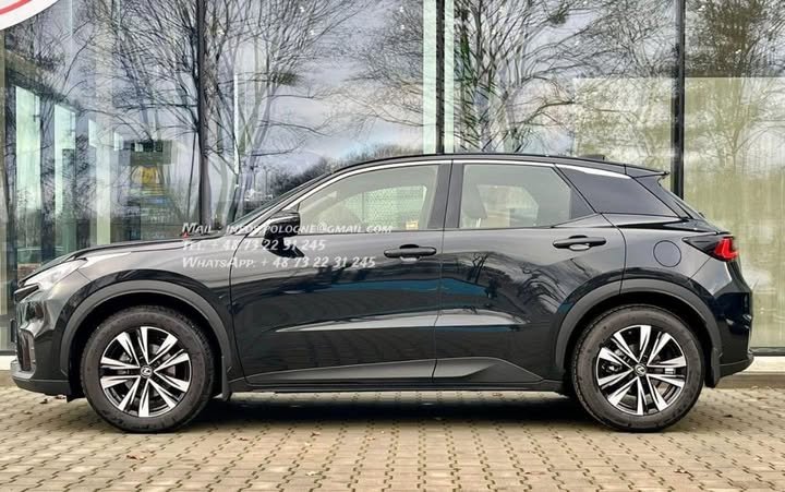 FB_IMG_1769822546374