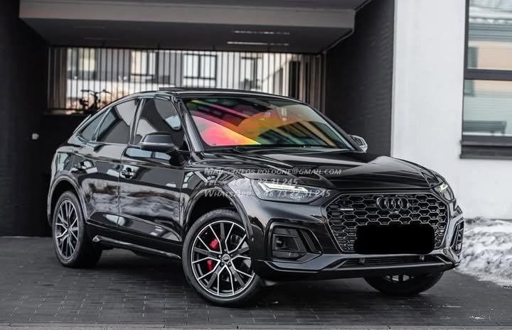 FB_IMG_1769823120575