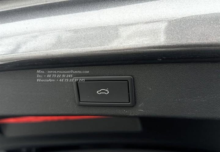 FB_IMG_1770035073912