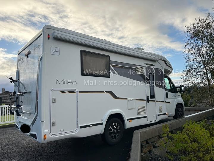 FB_IMG_1770038431234