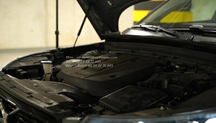 FB_IMG_1770051419491