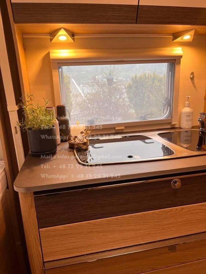 FB_IMG_1770052401222