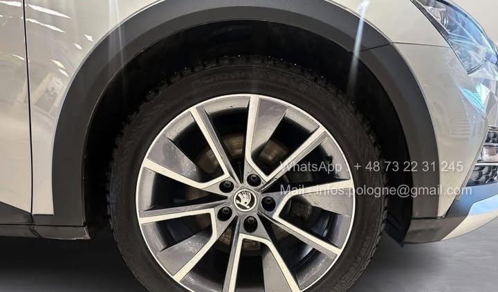 FB_IMG_1770078479100