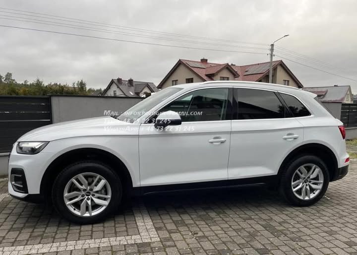 FB_IMG_1770229404697