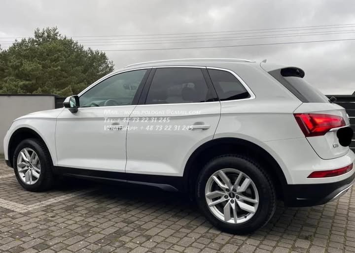 FB_IMG_1770229406735