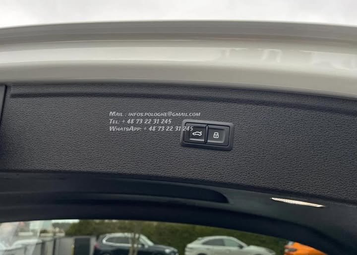 FB_IMG_1770229418424