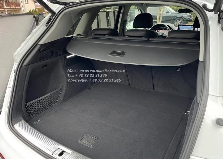 FB_IMG_1770229420499