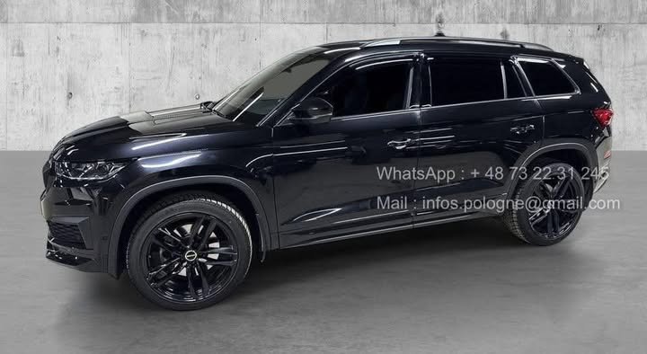 FB_IMG_1770301771356