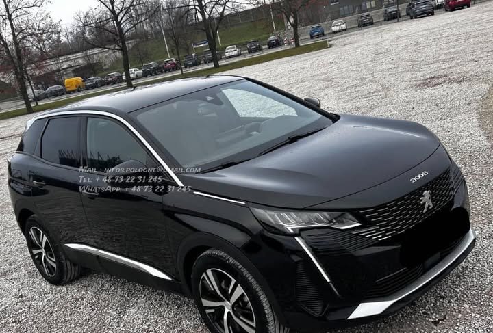 FB_IMG_1770442074769