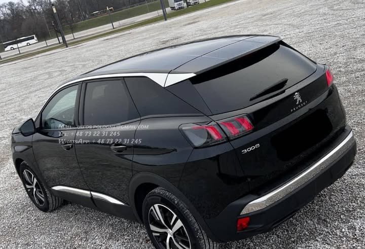 FB_IMG_1770442081758