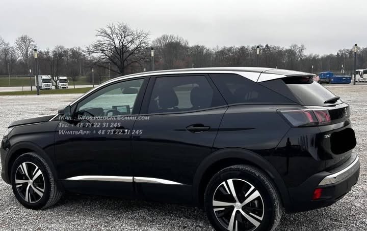 FB_IMG_1770442086372