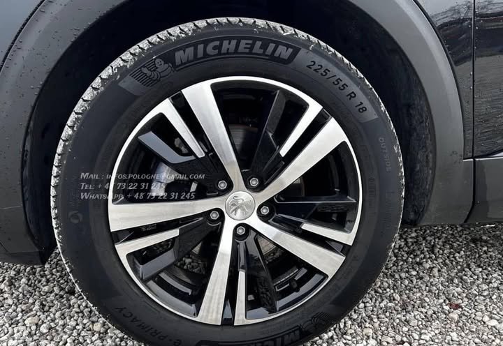 FB_IMG_1770442121106