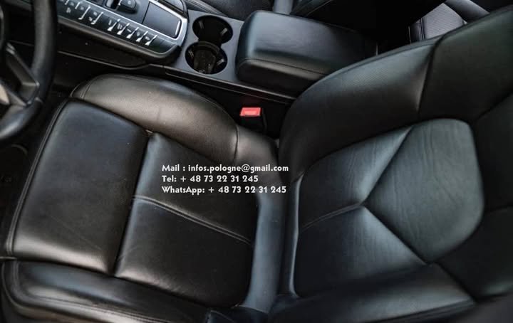 FB_IMG_1770444798015