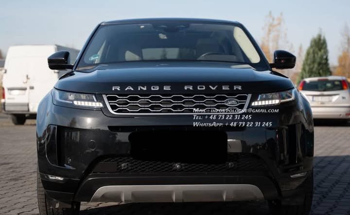 FB_IMG_1770446239433