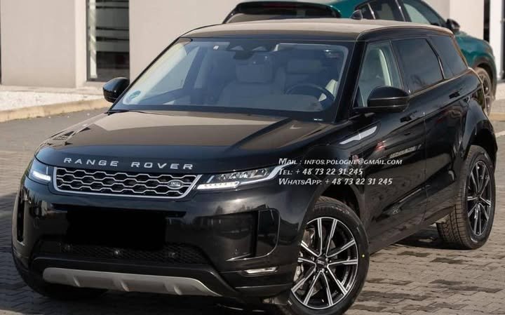 FB_IMG_1770446243830