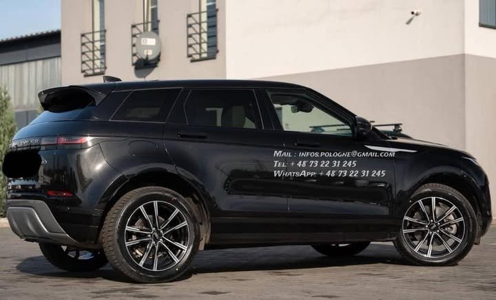 FB_IMG_1770446245953