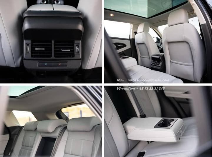 FB_IMG_1770446280304