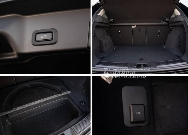 FB_IMG_1770446284349