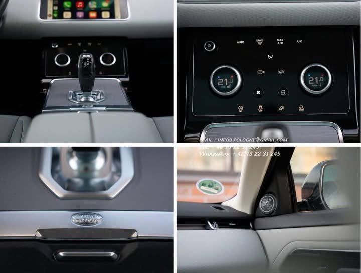 FB_IMG_1770446286456