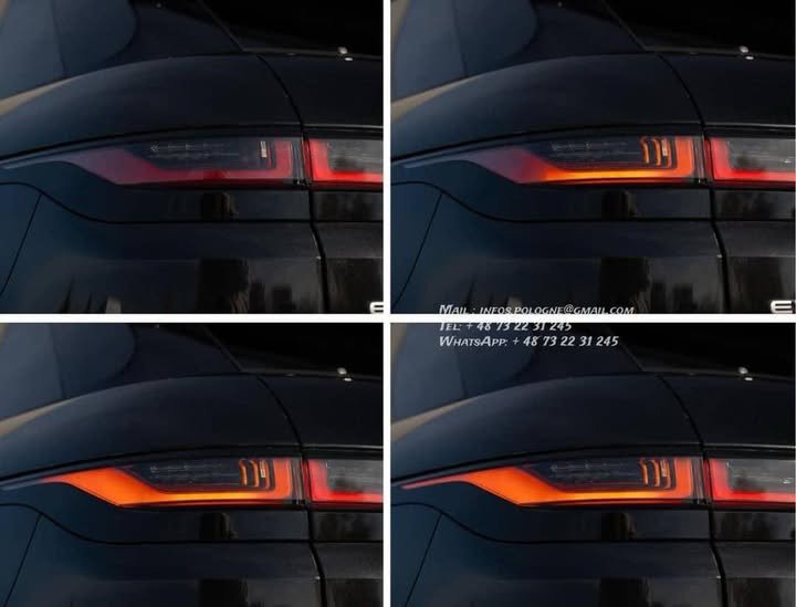 FB_IMG_1770446290836