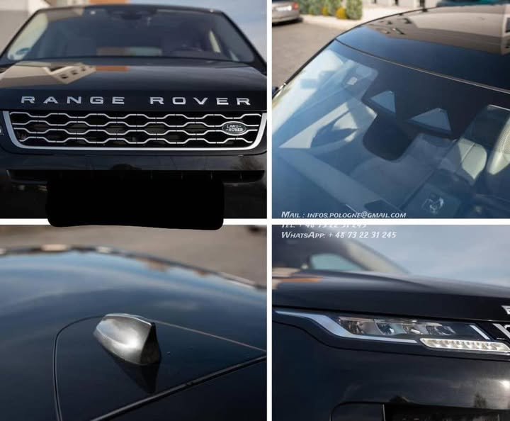 FB_IMG_1770446300499