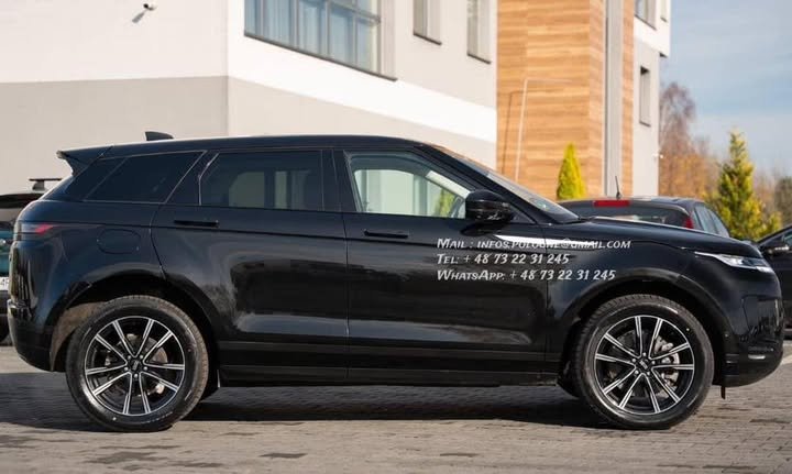 FB_IMG_1770446303594