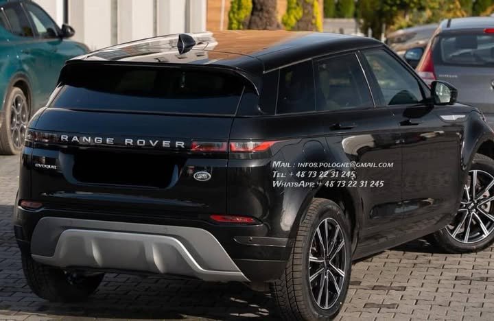 FB_IMG_1770446306871